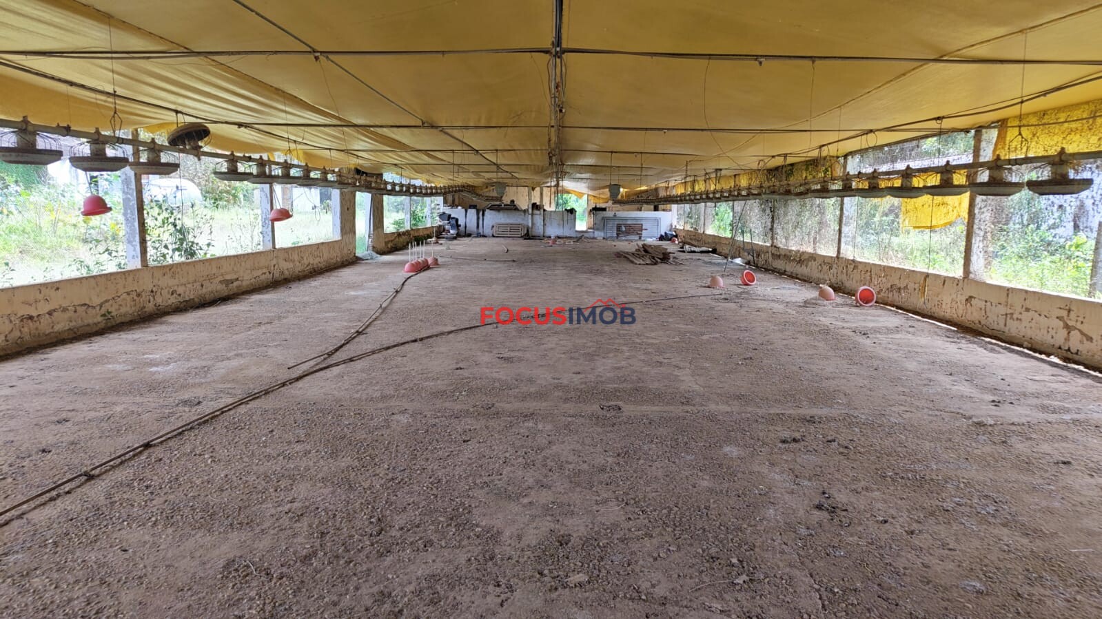 ABAIXO DA AVALIAÇÃO: Granja Pronta para Reativação em Jacutinga/MG