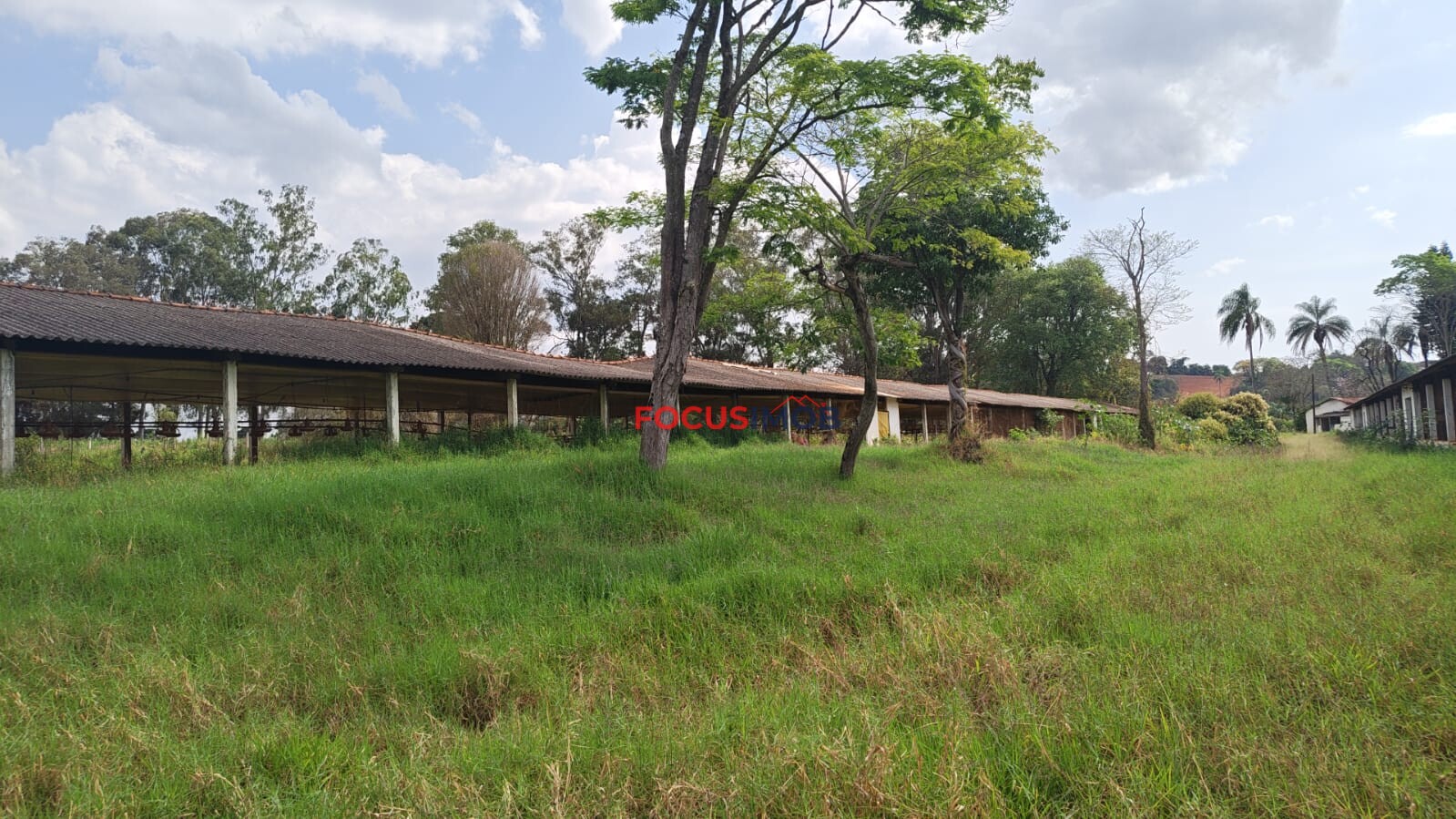 ABAIXO DA AVALIAÇÃO: Granja Pronta para Reativação em Jacutinga/MG