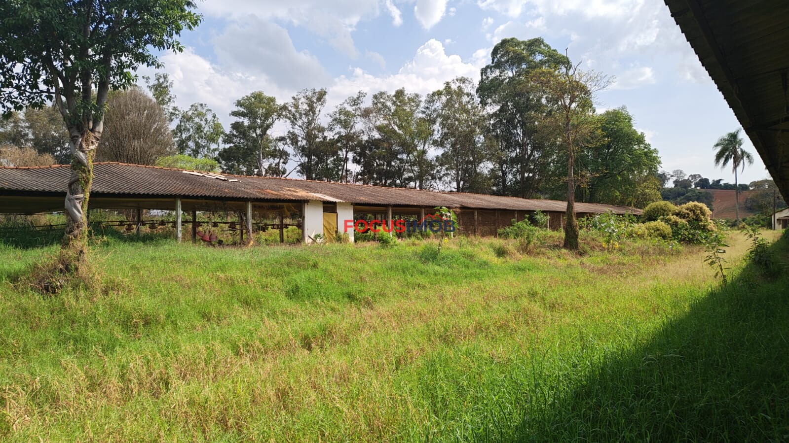 ABAIXO DA AVALIAÇÃO: Granja Pronta para Reativação em Jacutinga/MG