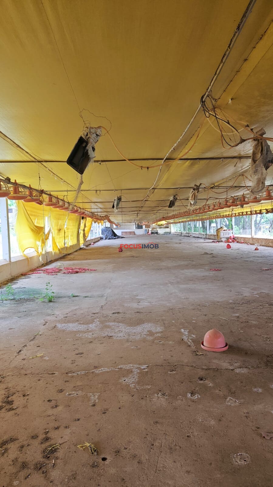 ABAIXO DA AVALIAÇÃO: Granja Pronta para Reativação em Jacutinga/MG
