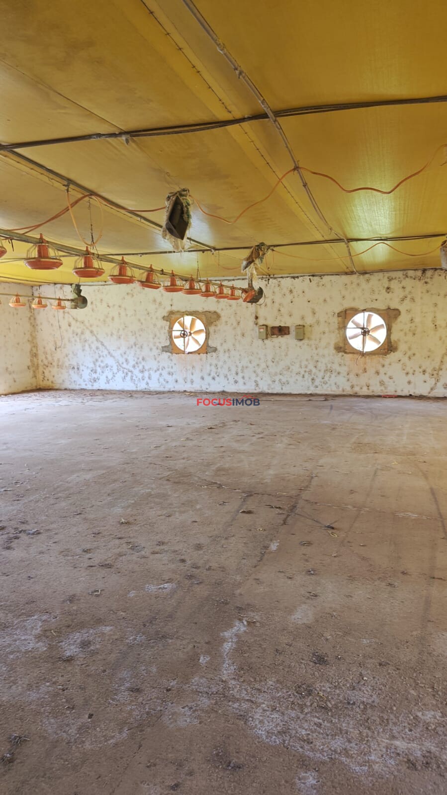 ABAIXO DA AVALIAÇÃO: Granja Pronta para Reativação em Jacutinga/MG
