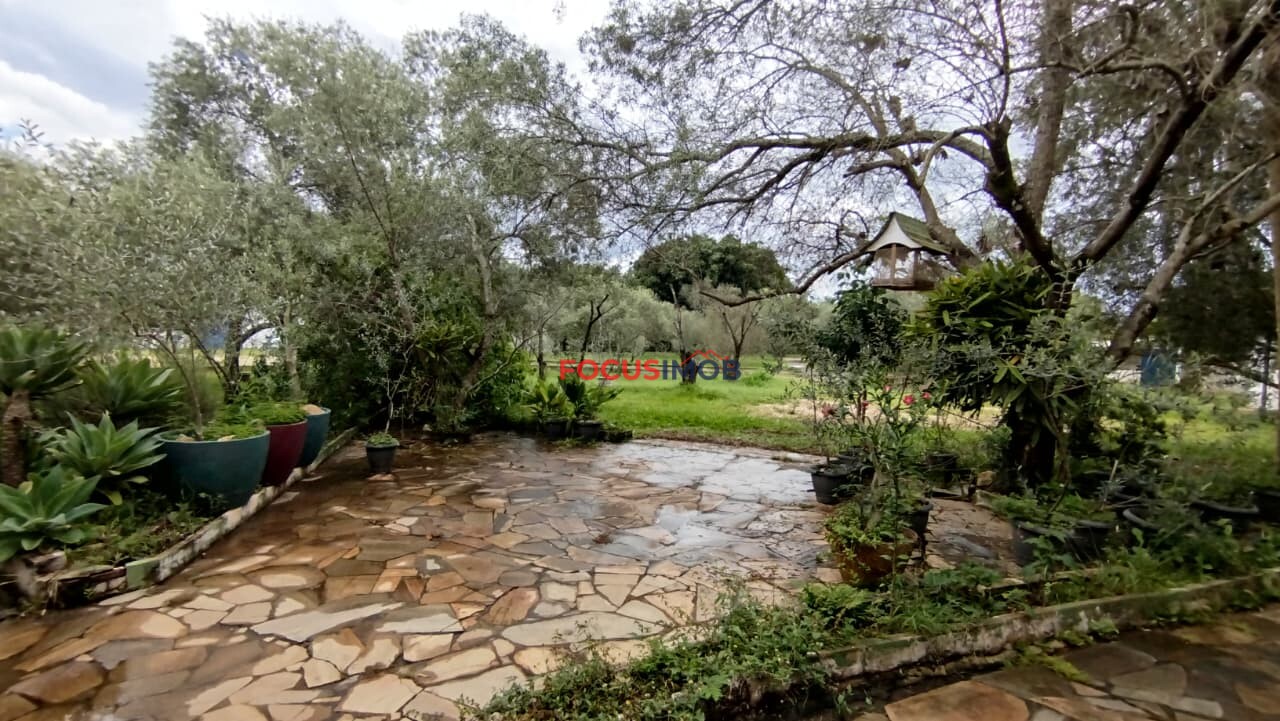 Área Industrial de 11.000 m² com Galpão de 3.000 m² à Venda