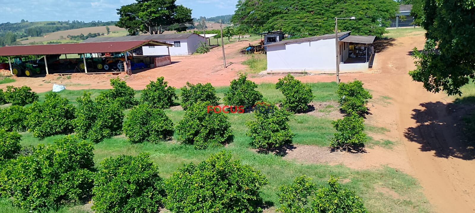 Fazenda de Laranja Produtiva à Venda em São Sebastião do Paraíso – 169 ha, Alta Produção 🍊
