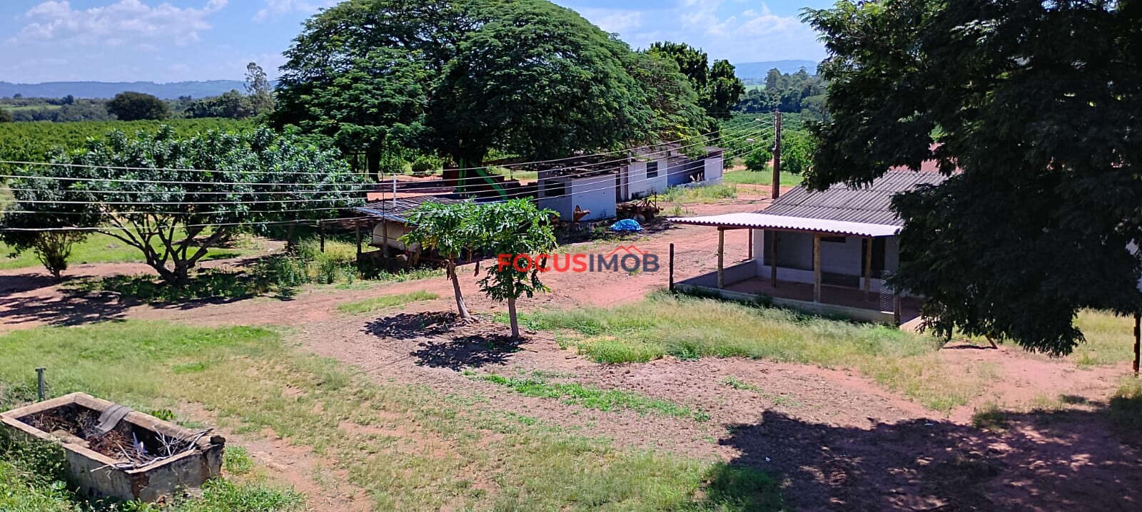Fazenda de Laranja Produtiva à Venda em São Sebastião do Paraíso – 169 ha, Alta Produção 🍊