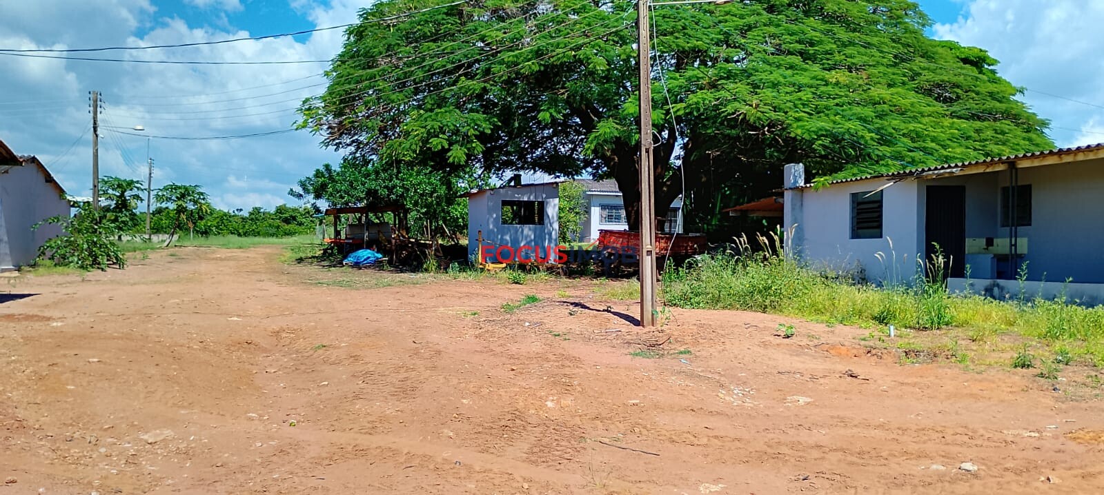 Fazenda de Laranja Produtiva à Venda em São Sebastião do Paraíso – 169 ha, Alta Produção 🍊