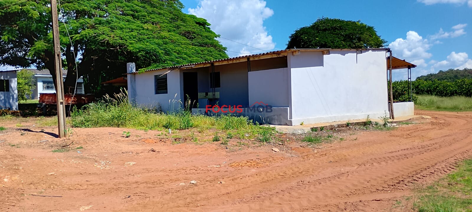 Fazenda de Laranja Produtiva à Venda em São Sebastião do Paraíso – 169 ha, Alta Produção 🍊