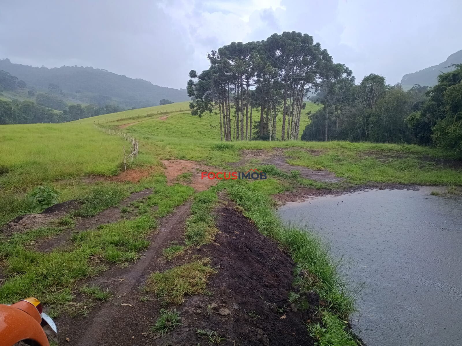 Sítio Completo à Venda em Santa Rita de Caldas/MG – 35 Alqueires, Estrutura Pronta para Pecuária