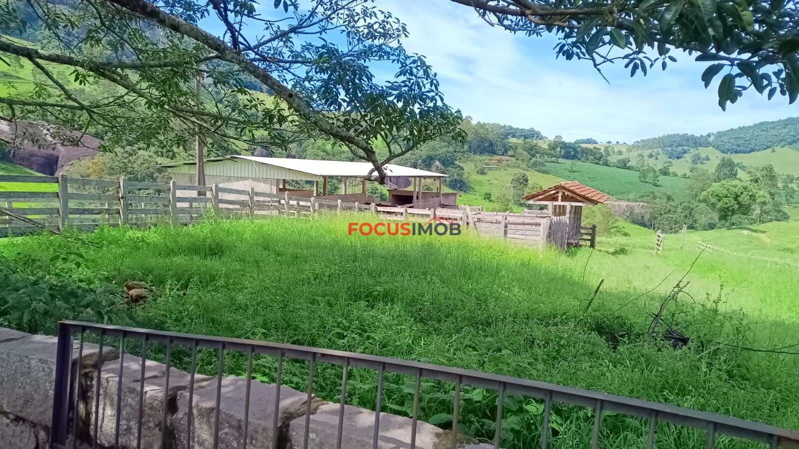 Sítio Completo à Venda em Santa Rita de Caldas/MG – 35 Alqueires, Estrutura Pronta para Pecuária