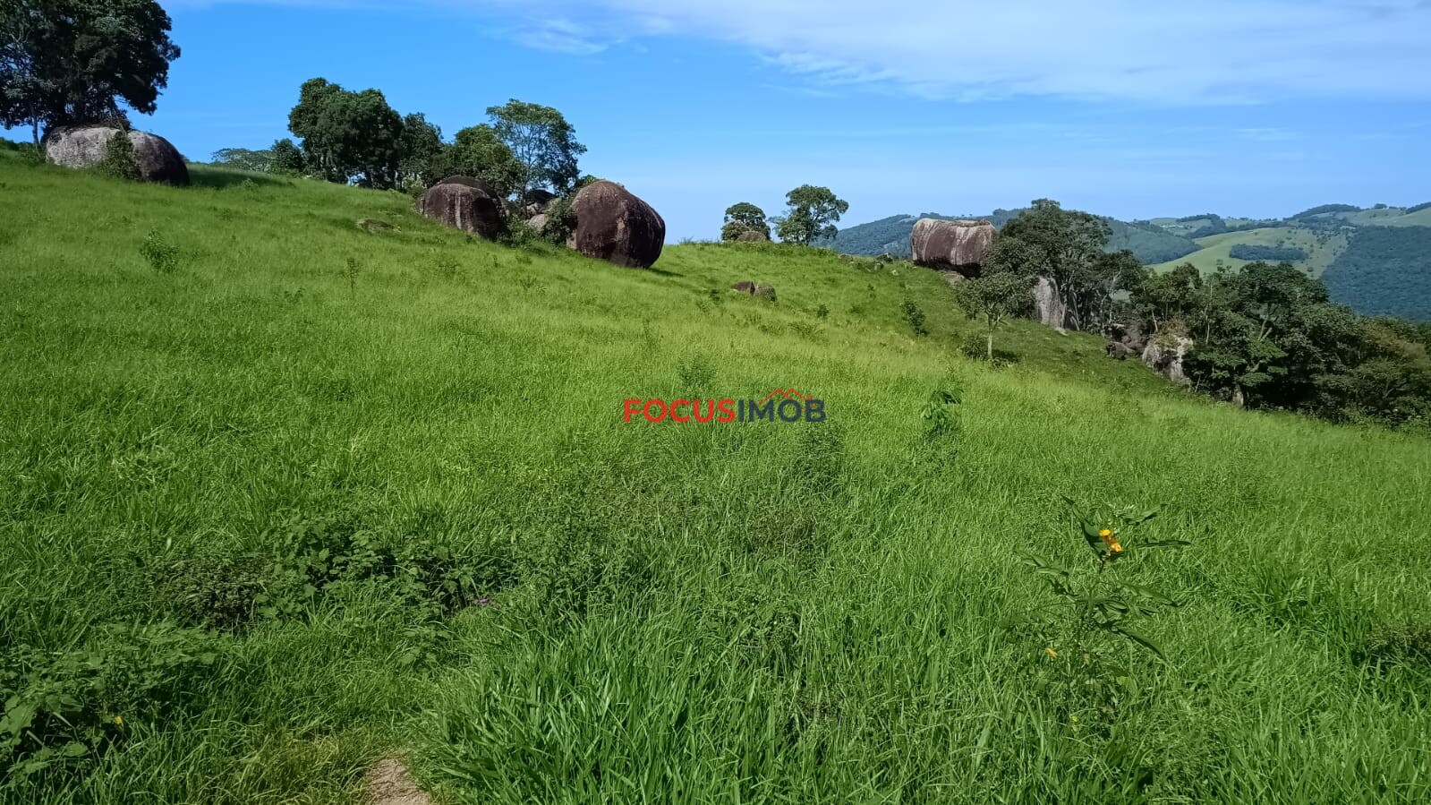 Sítio Completo à Venda em Santa Rita de Caldas/MG – 35 Alqueires, Estrutura Pronta para Pecuária