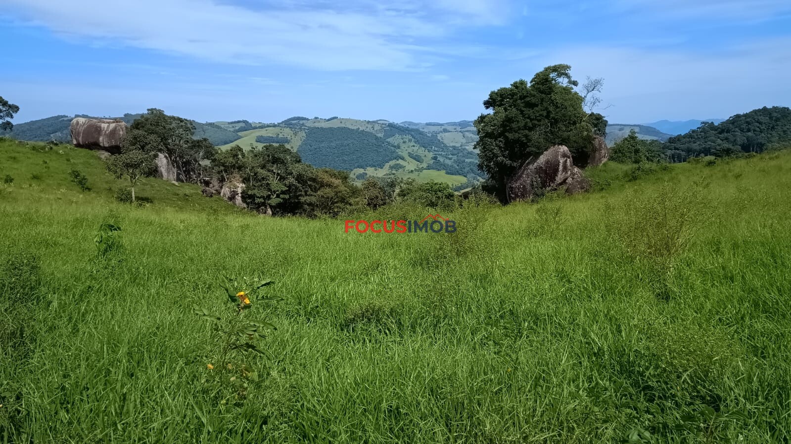 Sítio Completo à Venda em Santa Rita de Caldas/MG – 35 Alqueires, Estrutura Pronta para Pecuária