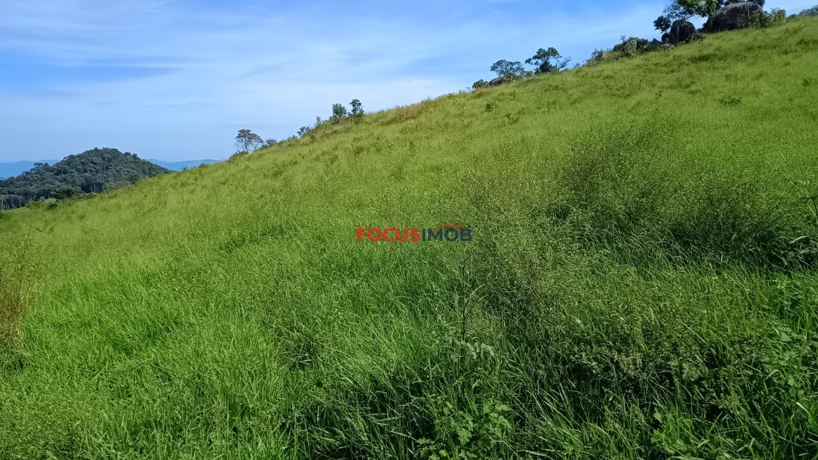 Sítio Completo à Venda em Santa Rita de Caldas/MG – 35 Alqueires, Estrutura Pronta para Pecuária