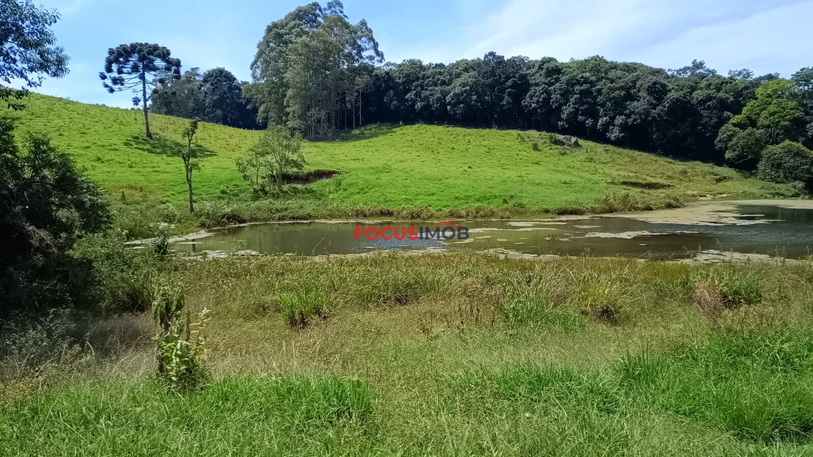 Sítio Completo à Venda em Santa Rita de Caldas/MG – 35 Alqueires, Estrutura Pronta para Pecuária