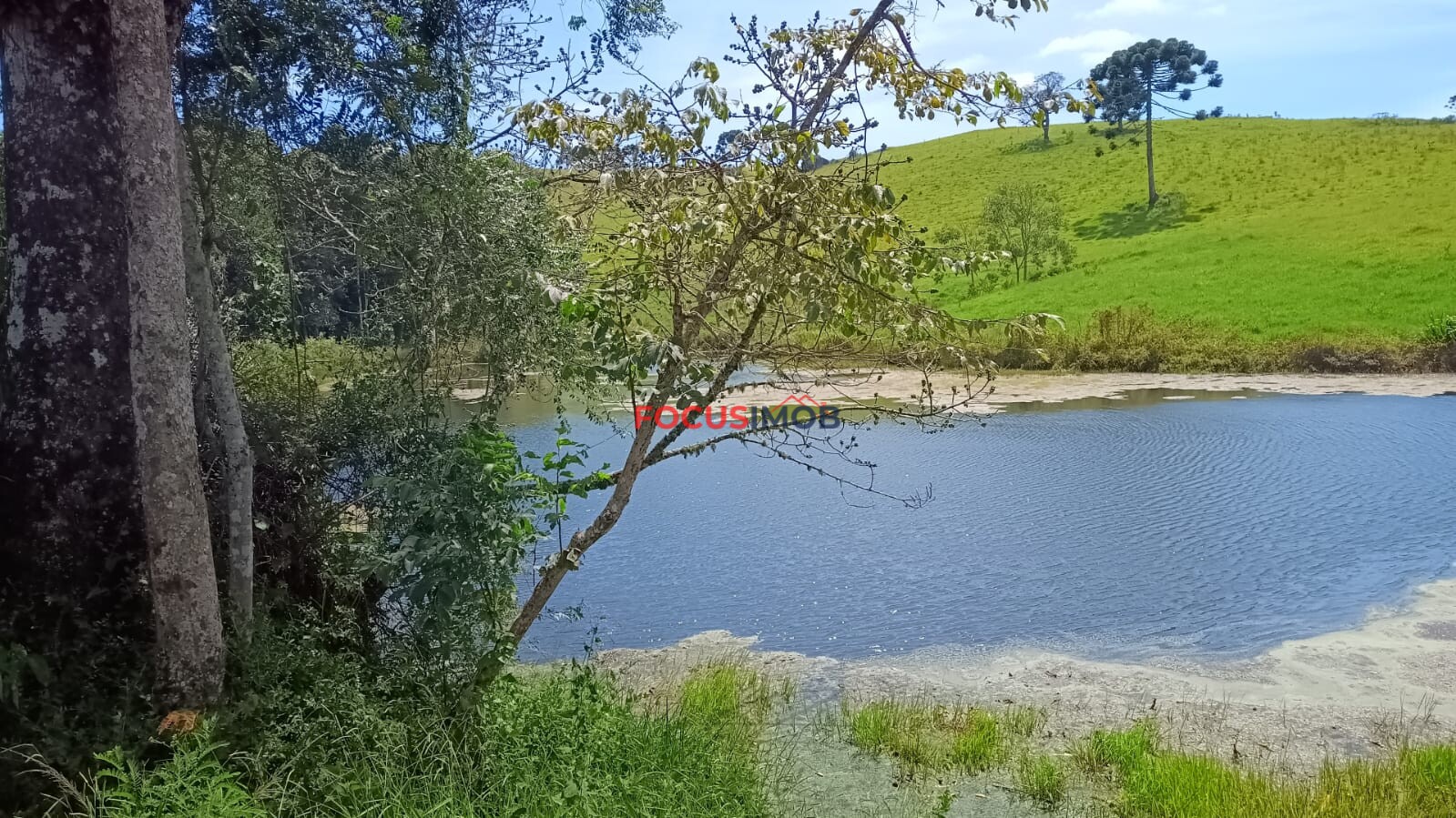 Sítio Completo à Venda em Santa Rita de Caldas/MG – 35 Alqueires, Estrutura Pronta para Pecuária