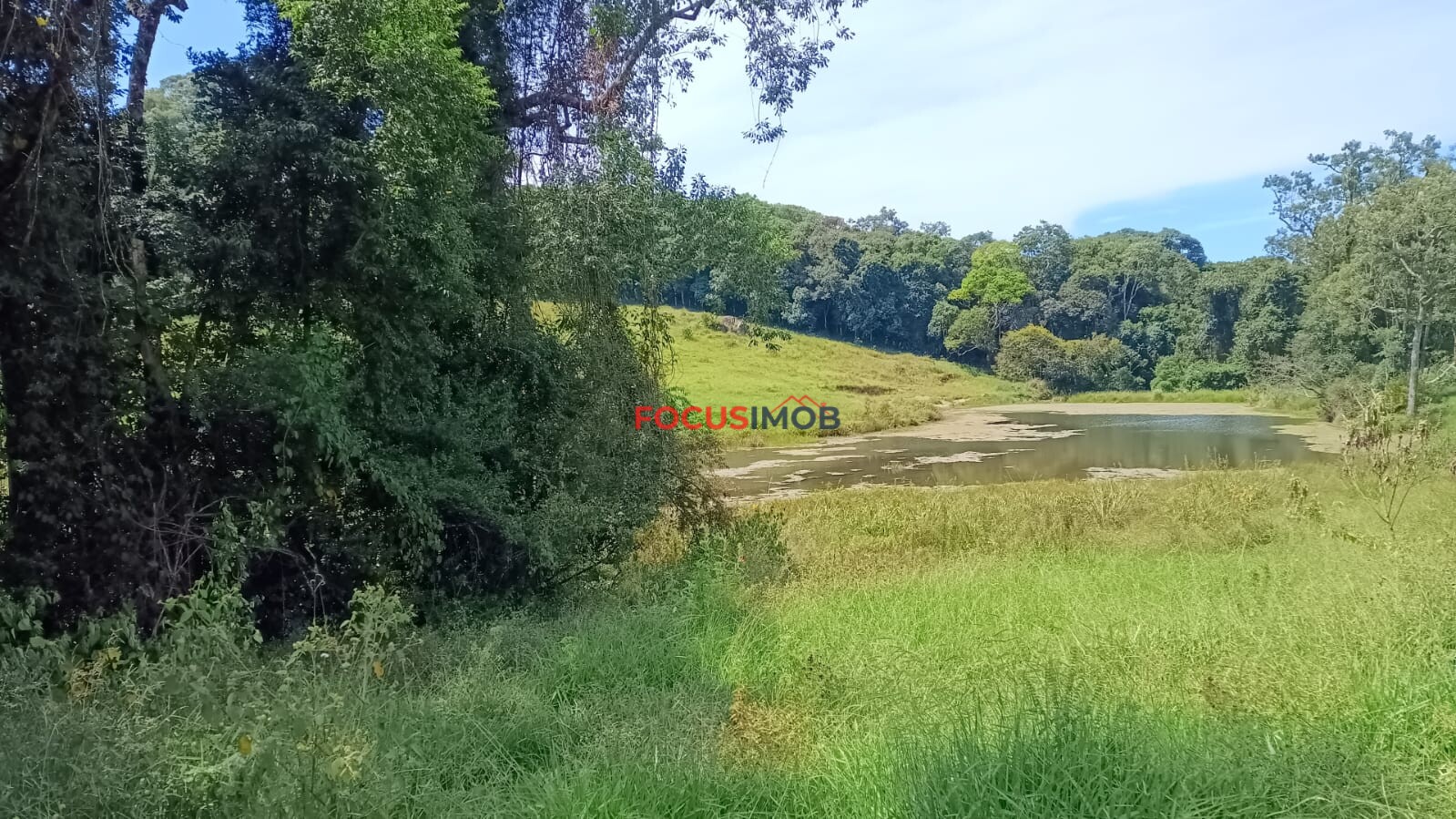 Sítio Completo à Venda em Santa Rita de Caldas/MG – 35 Alqueires, Estrutura Pronta para Pecuária