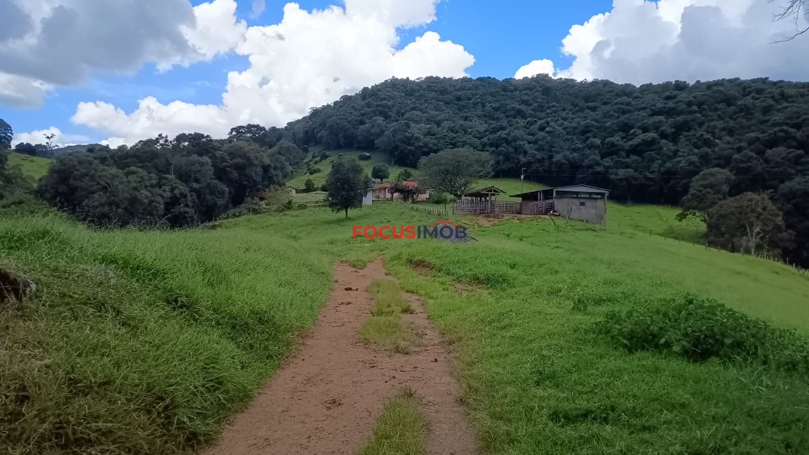 Sítio Completo à Venda em Santa Rita de Caldas/MG – 35 Alqueires, Estrutura Pronta para Pecuária