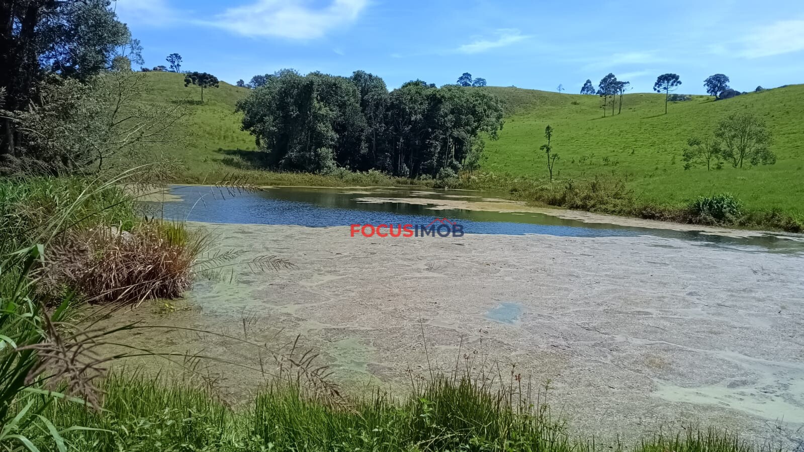 Sítio Completo à Venda em Santa Rita de Caldas/MG – 35 Alqueires, Estrutura Pronta para Pecuária